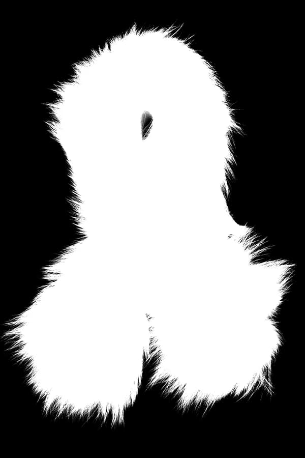 Soft-edge subject after professional image masking
